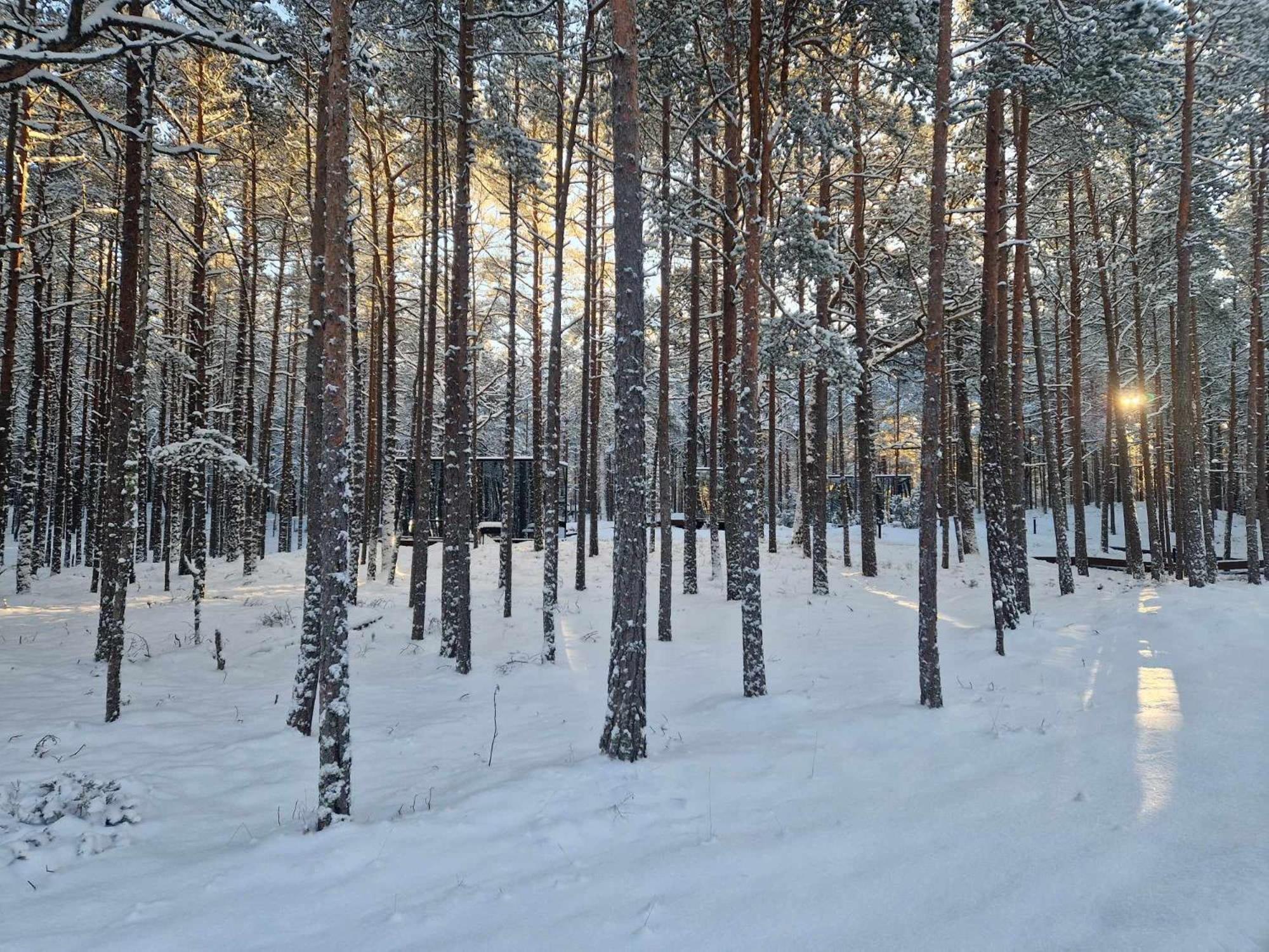 Oeoed Hoetels Lohusalu Leida & Enno Laulasmaa Kültér fotó